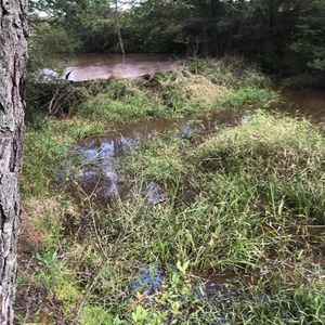 Meet your Posher, Pat